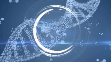 Mavi arkaplan üzerinde DNA iplikçiklerinin dönmesi ve veri işleme animasyonu. Küresel bilim, araştırma, bağlantılar, hesaplama ve veri işleme kavramı dijital olarak oluşturulmuş video.