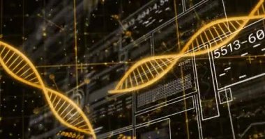 DNA iplikçiklerinin ve moleküllerin siyah arkaplandaki veri işleme üzerinde canlandırılması. Bilim, teknoloji, bilgisayar ve dijital arayüz konsepti dijital olarak oluşturulmuş video.