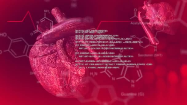 Animação Coração Humano Processamento Dados Científicos Conceito Ciência Global Computação — Vídeo de Stock