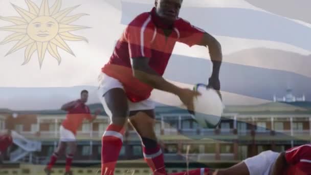 Animación Bandera Uruguay Sobre Diversos Jugadores Masculinos Rugby Que Juegan — Vídeo de stock