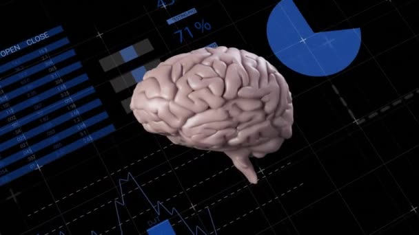 Animation Des Menschlichen Gehirns Datenverarbeitung Und Statistiken Auf Schwarzem Hintergrund — Stockvideo