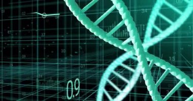 Siyah arkaplan üzerinde veri işleme ile dönen DNA iplikçiklerinin animasyonu. Küresel bilim, araştırma ve veri işleme kavramı dijital olarak oluşturulmuş video.