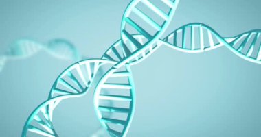 Yeşil arkaplanda fotokopi uzayıyla dönen DNA iplikçiklerinin animasyonu. Küresel bilim, araştırma ve veri işleme kavramı dijital olarak oluşturulmuş video.