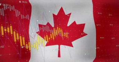 Kanada bayrağı üzerinde grafik ve veri işleme animasyonları. Ulusal ekonomi, seyahat, veri, finans, dijital arayüz, iş ve iletişim, dijital olarak oluşturulmuş video.