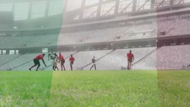 Animation Flagga Nigeria Över Olika Manliga Rugby Spelare Som Spelar — Stockvideo