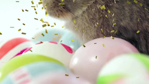 Animación Confeti Sobre Conejo Con Huevos Pascua Sobre Fondo Blanco — Vídeo de stock
