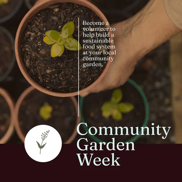 Composition of community garden week text over biracial man holding pot with plant. Community garden week, gardening and leisure time concept digitally generated image.