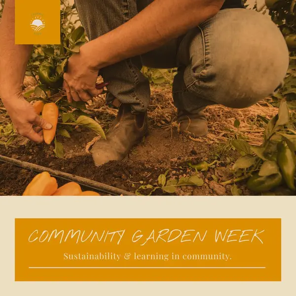Composition of community garden week text and caucasian woman gardening. Community garden week, gardening and leisure time concept digitally generated image.