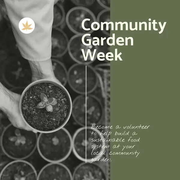 Composition of community garden week text over caucasian man holding pot with plant. Community garden week, gardening and leisure time concept digitally generated image.