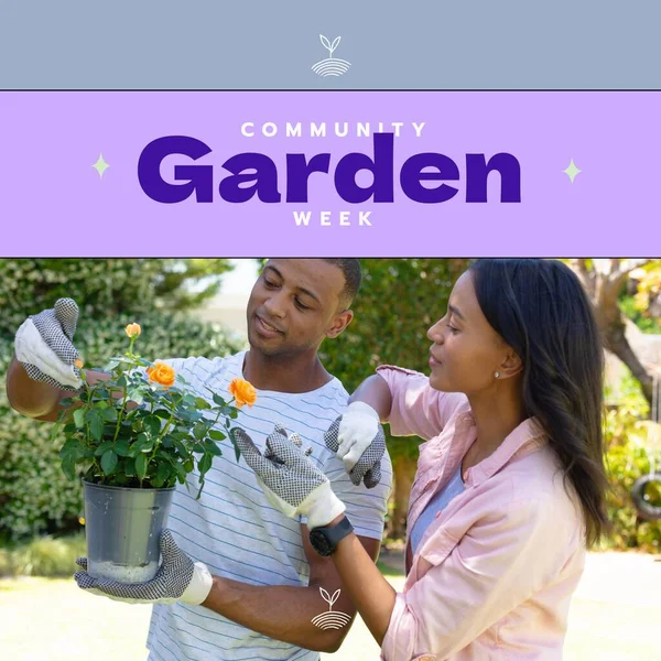 Composition of community garden week text over african american couple gardening. Community garden week, gardening and leisure time concept digitally generated image.