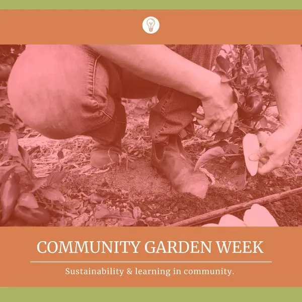 Composition of community garden week text and caucasian woman gardening. Community garden week, gardening and leisure time concept digitally generated image.