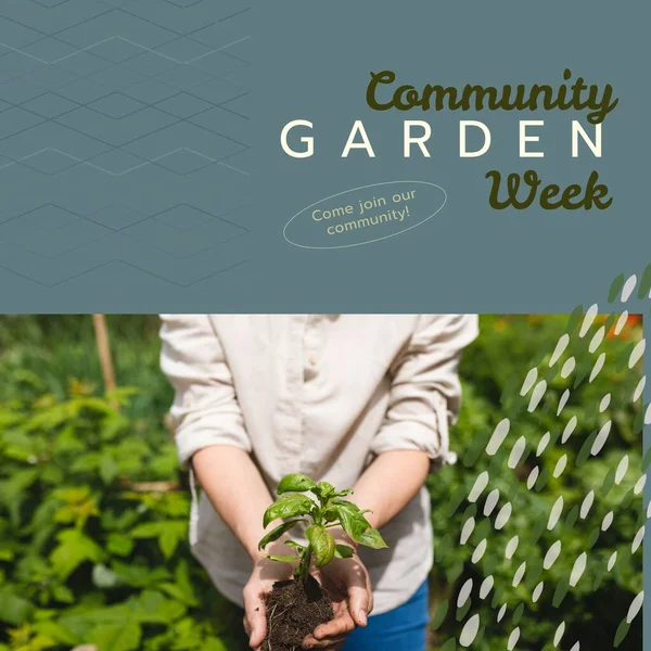 Composition of community garden week text over caucasian woman gardening holding seedling. Community garden week, gardening and leisure time concept digitally generated image.