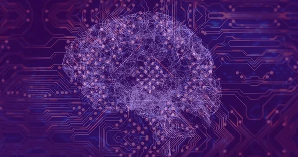 Image of digital brain over computer circuit board on purple background. Global business, computing and digital interface concept digitally generated image.