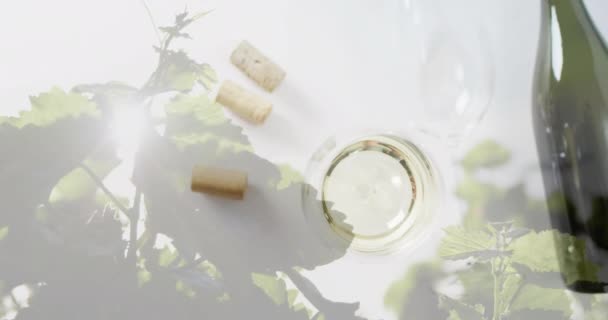 ワインのボトル 白ワインのグラス ブドウ園の背景にコルクの合成 ワイン アルコールのコンセプト — ストック動画
