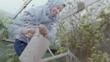 Sulama tenekesi ve bahçıvanlıkla tesettürlü melez kadının üzerine su damlaları düşmesi. Hobi, yaşam tarzı, ev hayatı ve mutluluk konsepti dijital olarak oluşturulmuş video.