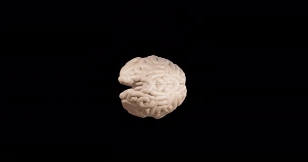 Анимация Серого Человеческого Мозга Вращающегося Черном Фоне Мировая Наука Медицина — стоковое видео