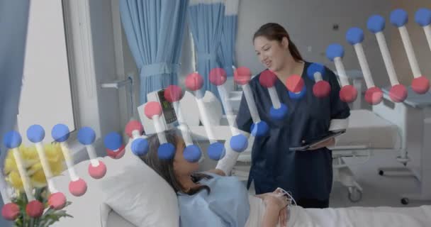 Animering Dna Strängen Över Olika Kvinnliga Läkare Och Patient Sjukhus — Stockvideo