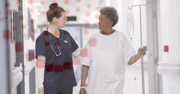 与老年女性患者一起行走的不同女医生在界面上的Dna动画 数字接口 医院和医疗保健 数字视频 — 图库视频影像
