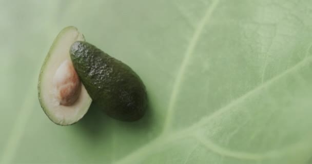 Yeşil Yapraklı Arka Planda Yarım Avokado Bileşimi Meyve Vejetaryen Yiyecekler — Stok video
