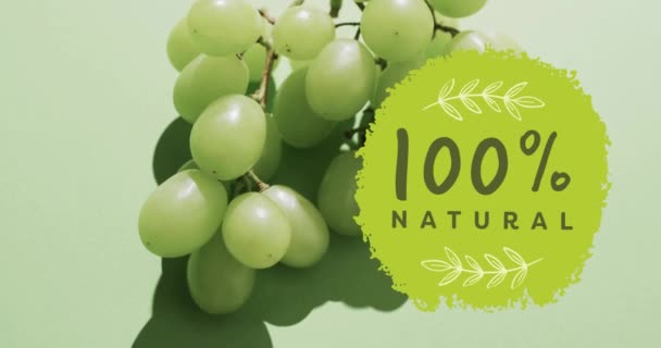 Анімація 100 Натурального Тексту Колі Над Виноградом Зеленому Фоні Концепція — стокове відео