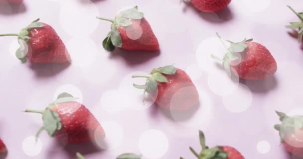 Composition Spots Light Strawberries Pink Background Fruit Vegetarian Food Organic — Stock Video
