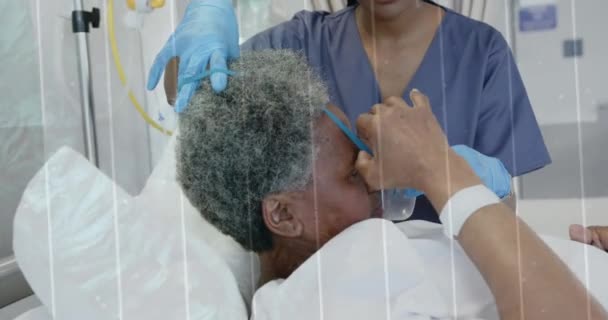 Анімація Ланцюга Днк Над Афроамериканським Лікарем Який Дає Кисень Старшим — стокове відео