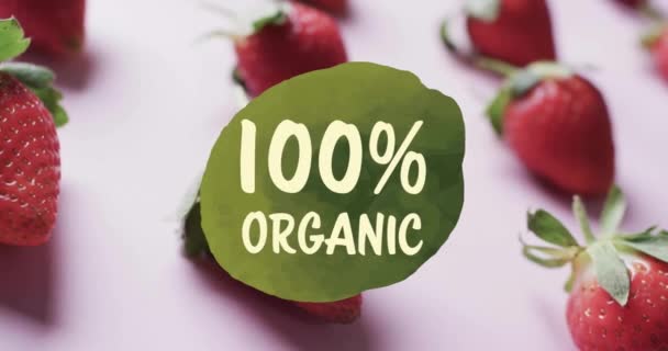 Animering 100 Procent Ekologisk Text Över Jordgubbar Rosa Bakgrund Frukt — Stockvideo