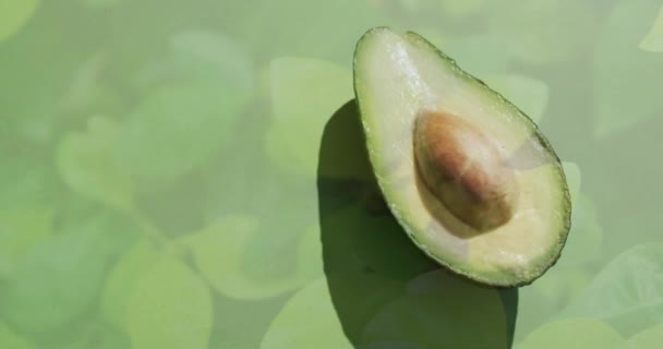 Склад Наполовину Авокадо Фоні Зеленого Листя Концепція Фруктів Вегетаріанської Їжі — стокове відео