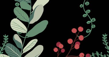 Siyah arka planda büyüyen bitkilerin görüntüsü. çevre, sürdürülebilirlik, ekoloji, yenilenebilir enerji, küresel ısınma ve iklim değişikliği farkındalığı.