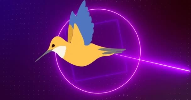 黒い背景に移動するネオン形の上の鳥のアイコンのアニメーション ライト 動きの概念デジタル生成されたビデオ — ストック動画