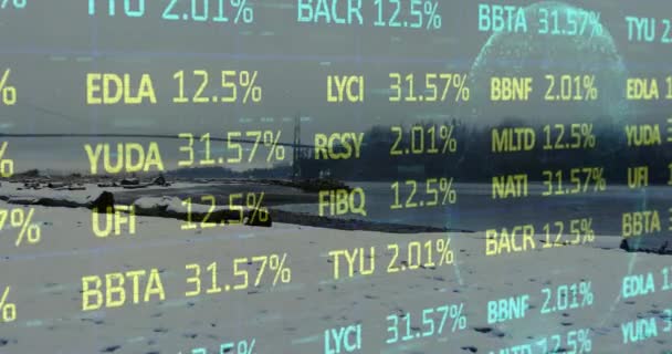 Анимация Фондового Рынка Земного Шара Над Побережьем Концепция Глобального Бизнеса — стоковое видео