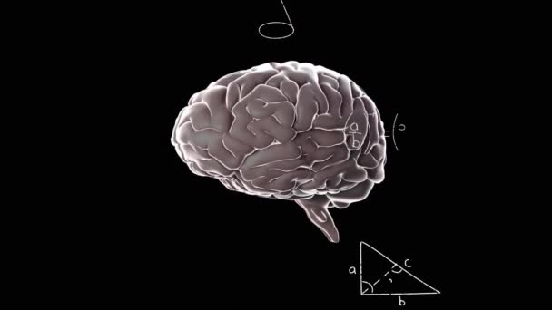 Animace Lidského Mozku Zpracování Matematických Dat Černém Pozadí Globální Věda — Stock video