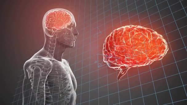 Matematiksel Denklemler Üzerinden Erkek Vücudunun Beyninin Kesitlerinin Karanlık Arka Planda — Stok video