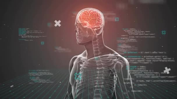 Animace Lidského Mozku Tělem Zpracování Dat Tmavém Pozadí Globální Věda — Stock video
