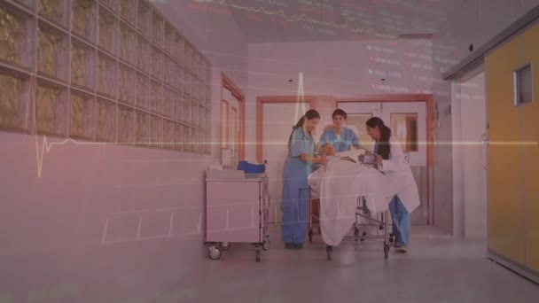 在有病人的各种医生中进行数据处理的动画 全球医学 计算和数据处理概念数字生成的视频 — 图库视频影像