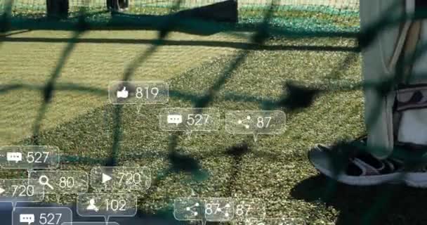 板球运动员现场数字数据处理动画制作 — 图库视频影像