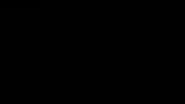 Анимирование Текста Благодарности Над Светлыми Пятнами Обработка Данных Лиловом Черном — стоковое видео