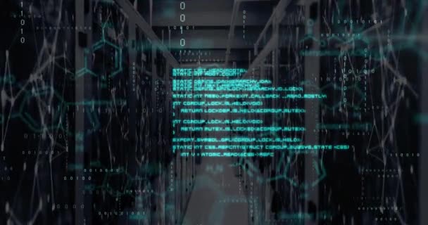 Animation Digital Data Processing Computer Servers Global Connections Computing Data — Stock Video