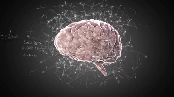 人間の脳を処理する数学的データのアニメーション グローバルサイエンス コネクション コンピューティング データ処理のコンセプトをデジタル生成したビデオ — ストック動画