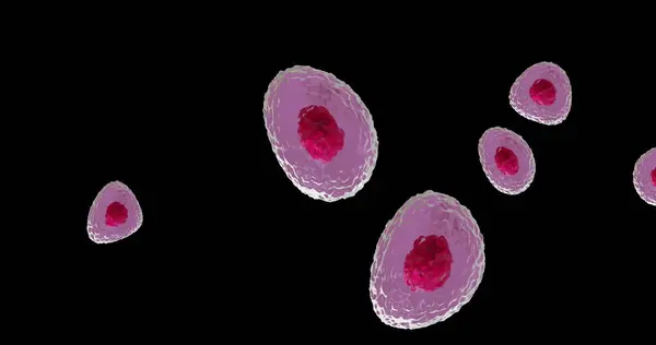 Imagem Micro Células Vermelhas Rosa Sobre Fundo Preto Conceito Global — Fotografia de Stock