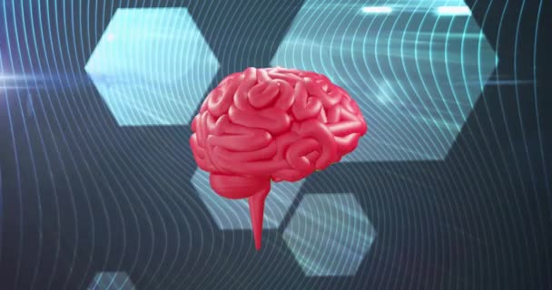 在旋转的大脑上移动的形状的动画 全球技术和数字接口概念数字生成视频 — 图库视频影像