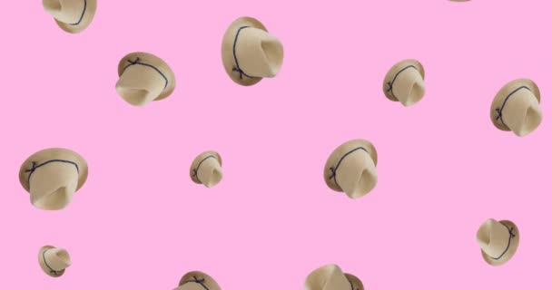Animación Sombreros Paja Sobre Fondo Rosa Moda Accesorios Clours Concepto — Vídeos de Stock