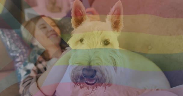用智能手机和宠物狗向快乐的高加索女人展示自豪的彩虹旗帜 家庭生活 Lgbtq 同性恋 自豪和生活方式 数码视频 — 图库视频影像