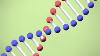 Yeşil arka planda dönen DNA iplikçiklerinin animasyonu. Küresel bilim, bağlantılar, bulut hesaplama ve veri işleme kavramı dijital olarak oluşturulmuş video.