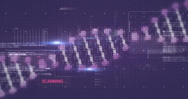 Animation Von Dna Strang Und Digitaler Datenverarbeitung Auf Schwarzem Hintergrund — Stockvideo
