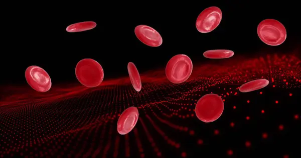 Siyah Zemin Üzerinde Kırmızı Kan Hücrelerinin Mikro Görüntüsü Küresel Bilim — Stok fotoğraf