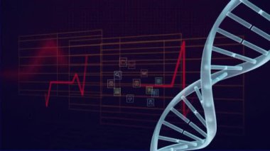 Karanlık arka planda DNA ipliği ve dijital veri işleme animasyonu. Küresel bilim, bağlantılar, hesaplama ve veri işleme kavramı dijital olarak oluşturulmuş video.