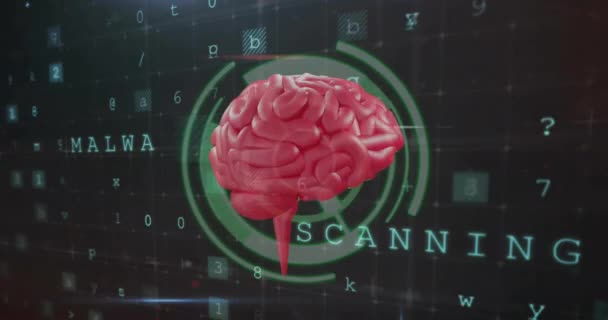 Анімація Сфери Людського Мозку Обробки Даних Глобальний Штучний Інтелект Єднання — стокове відео