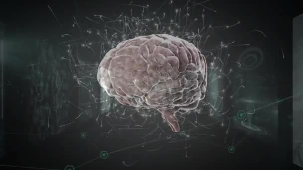 Animacja Obracającego Się Mózgu Sieci Nad Dna Ekranie Interfejsu Ciemnym — Wideo stockowe