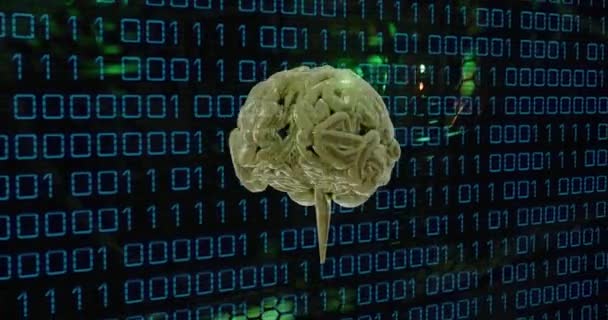 Animace Lidského Mozku Zpracování Binárních Kódovacích Dat Přes Počítačové Servery — Stock video